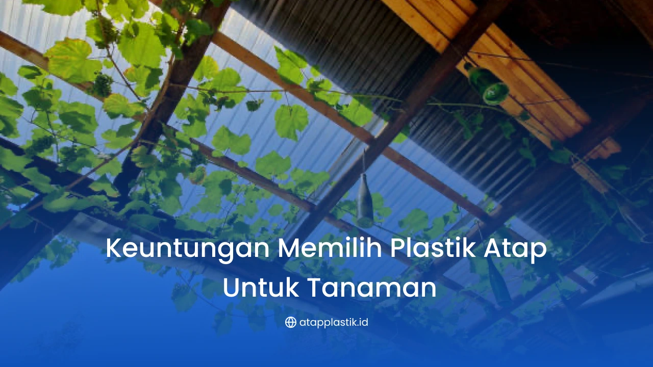 Keuntungan Memilih Plastik Atap untuk Tanaman
