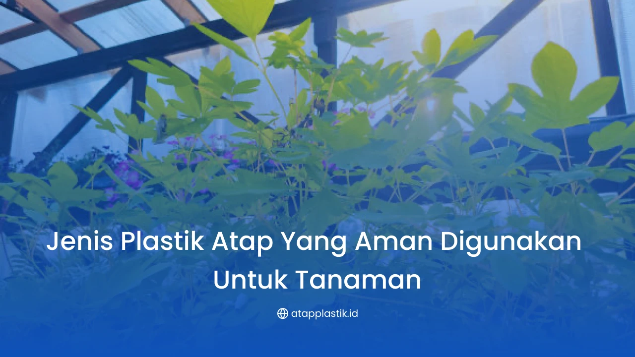 Jenis Plastik Atap yang Aman Digunakan untuk Tanaman