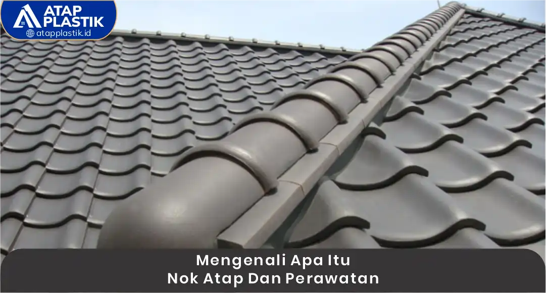 1. Mengenali Apa Itu Nok Atap dan Perawatannya
