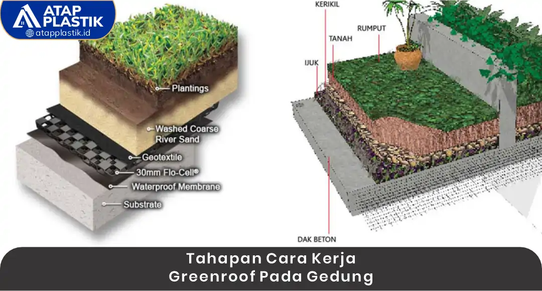 02 Tahapan Cara Kerja Greenroof pada Gedung