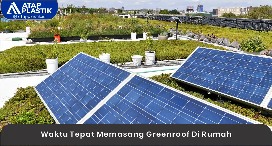03 Waktu Tepat Memasang Greenroof Di Rumah